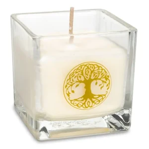 Bougie-parfumee-a-la-cire-de-colza-Arbre-de-vie.jpgfit8002C800ssl1 Bougie parfumée à la cire de colza