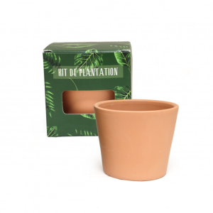 CUBE PLANTATION STANDARD